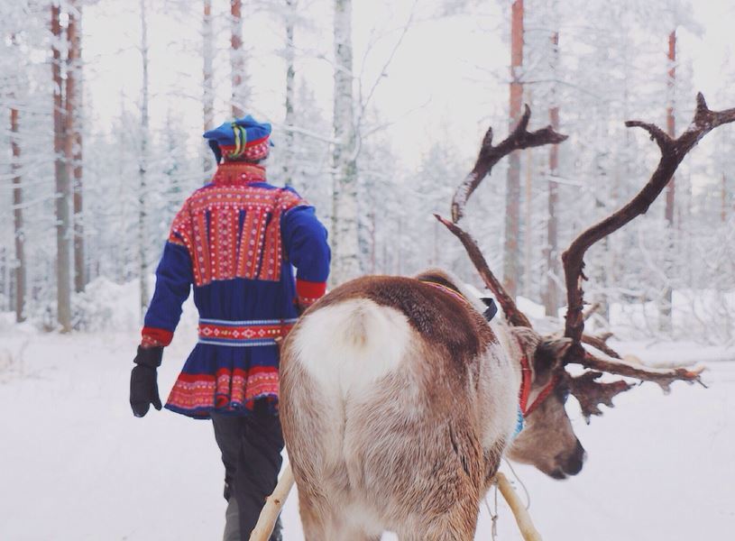 Sami man with reindeer in Tromso, Norway