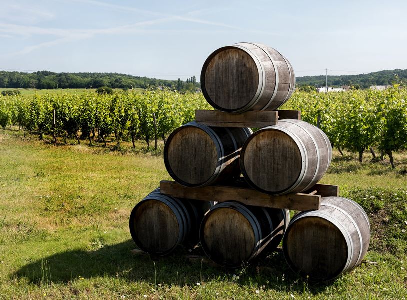 Winery visit and Prosecco tasting, Venice, Italy​