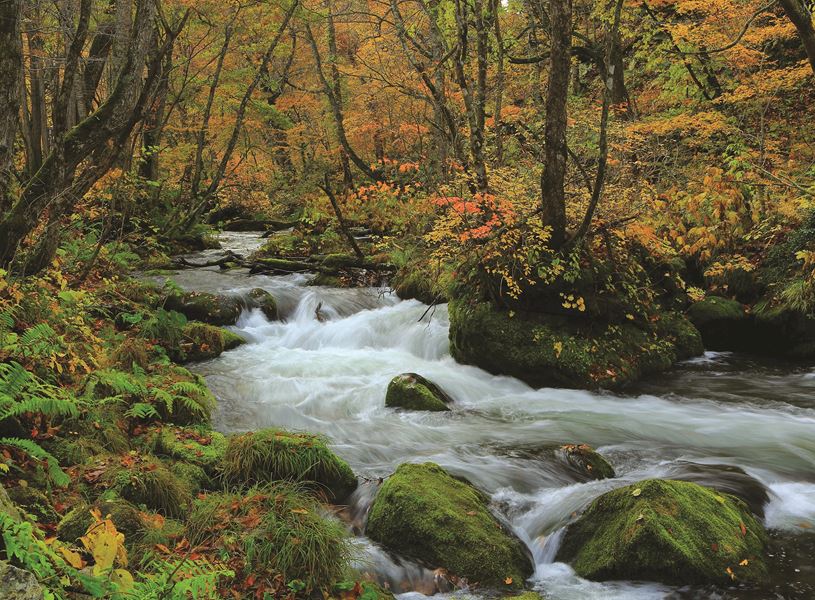 Oirase Gorge Hachimantai National Park, Japan