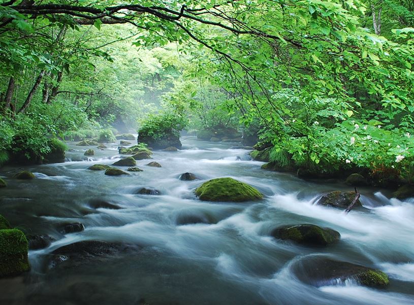 Oirase Gorge Sightseeing Oirase, Japan