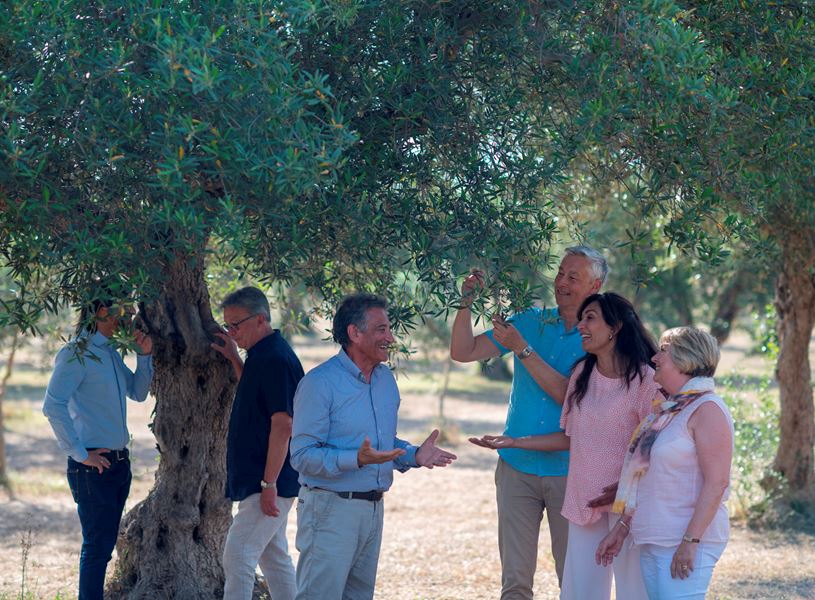 Il Poggio Organic Farm, Tuscany, Italy