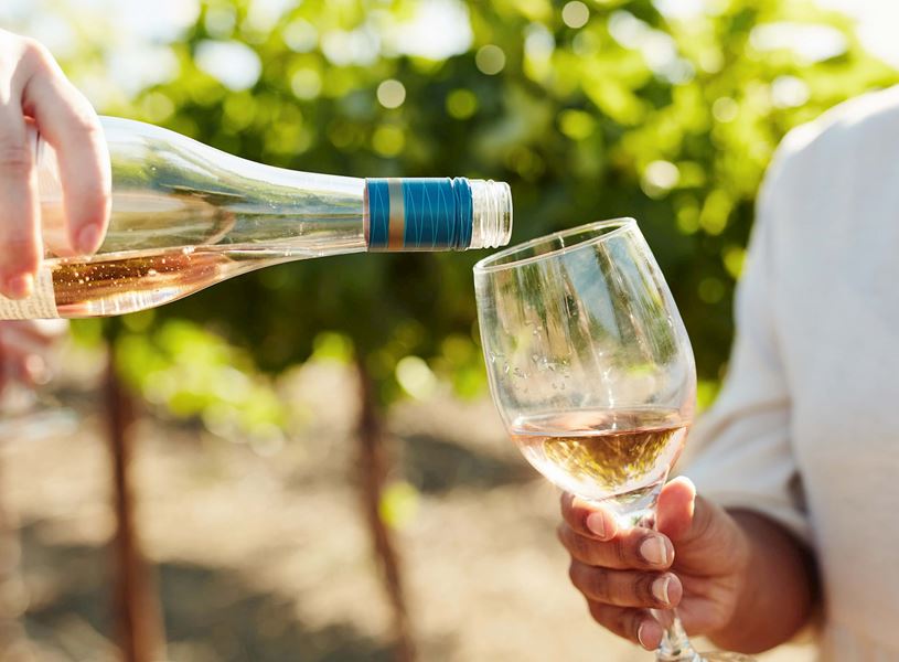 Enjoying a glass of wine at a vineyard