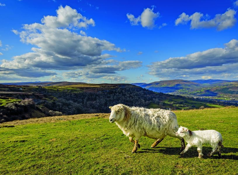 Sunny day on the Brecon Beacons, Wales