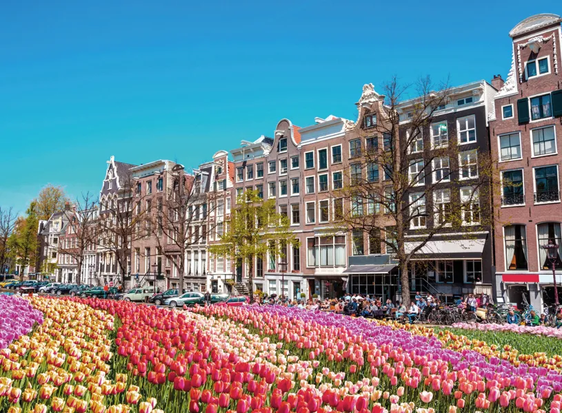 Colourful flowers along a city street in Amsterdam, Netherland