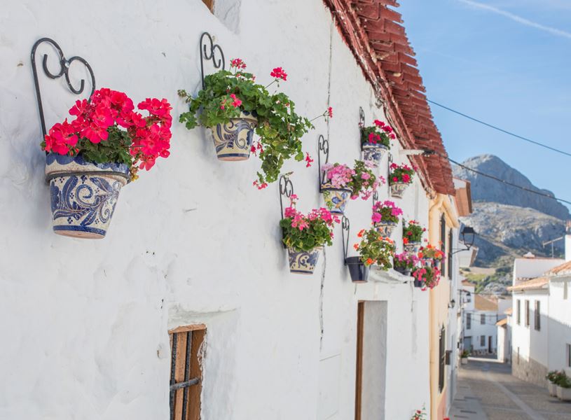 Flower lined houses in the white village of Alfarnatejo, Spain