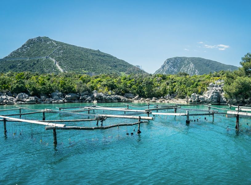 Visit an Oyster farm Ston Croatia