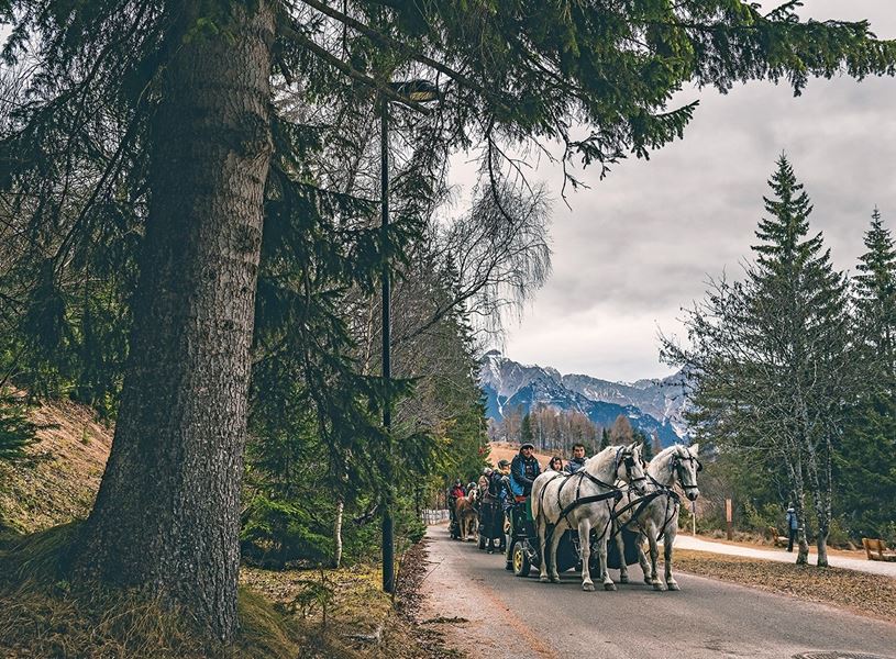 Horse and carriage ride Innsbruck Austria