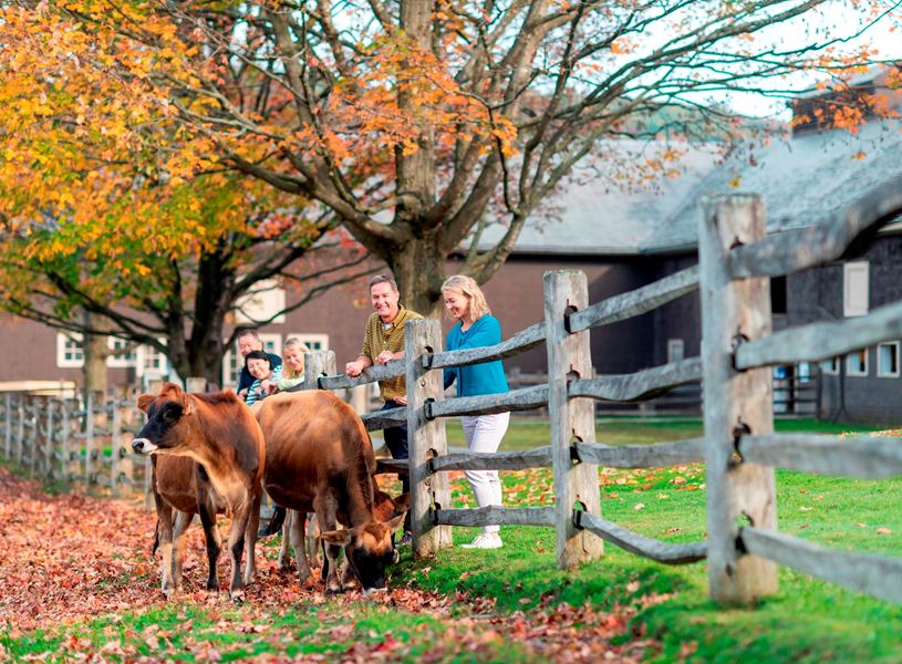 Woodstock and Billing Farm, Woodstock, USA  