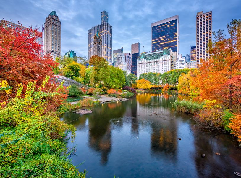 Central Park during autumn in New York City, USA