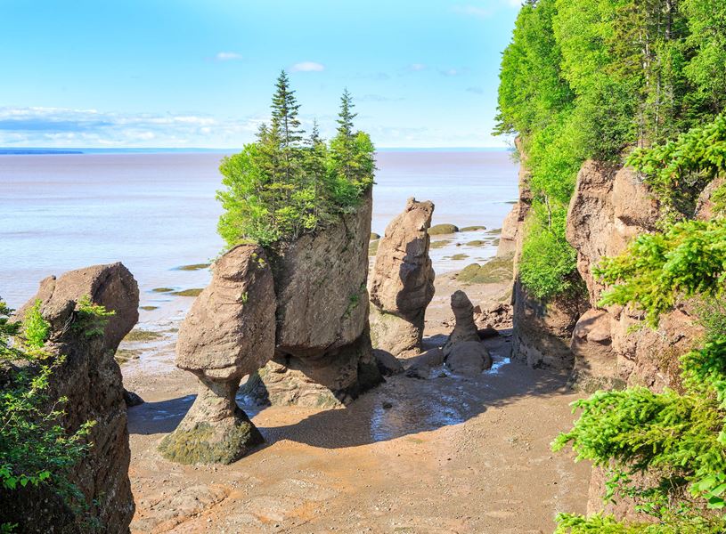 The Tides of Hopewell Rocks, Hopewell Cape, Canadian