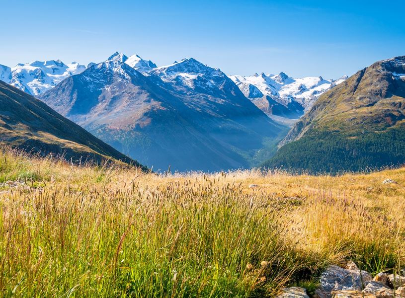 Enjoy a nature walk, St Moritz Switzerland