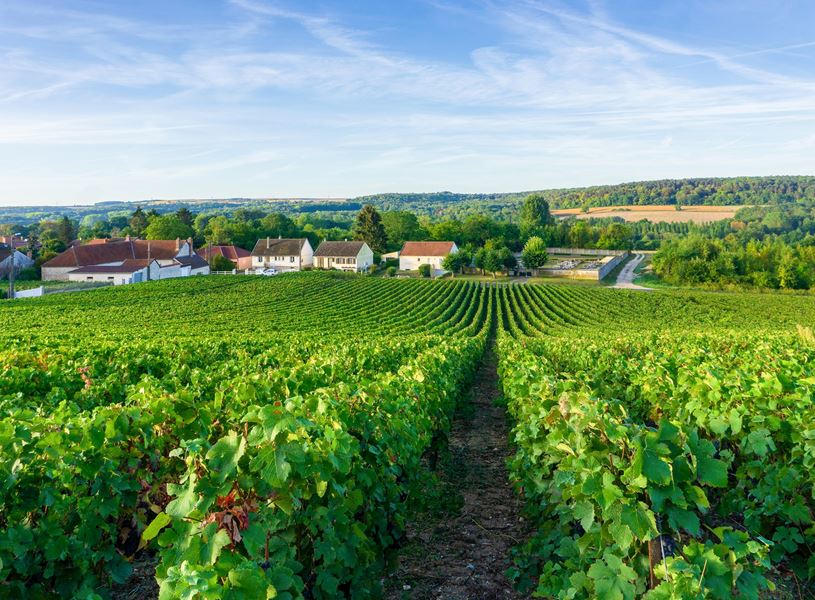 Champagne Region Epernay, France