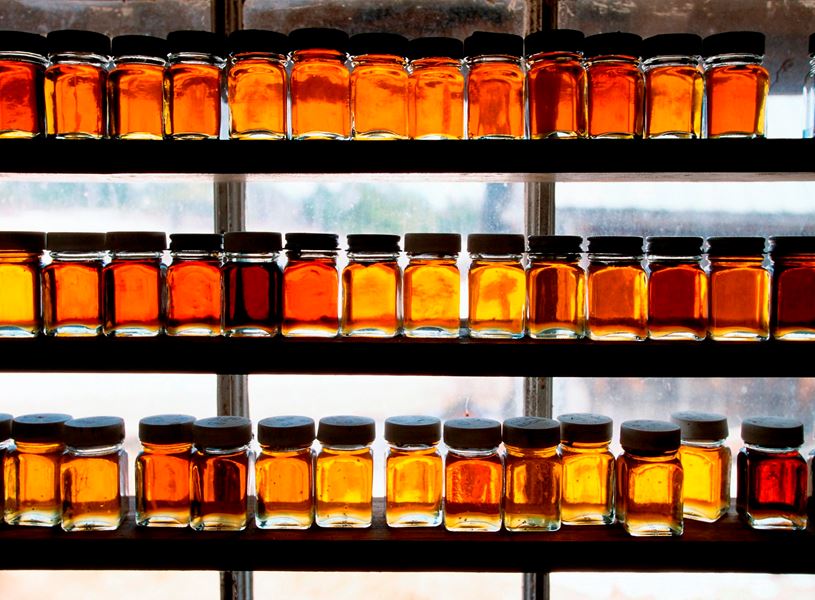 Morse Farm Maple Sugarworks, Montpelier, USA