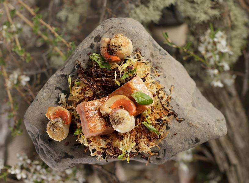 Authentic Dining Torres Del Paine, Chile