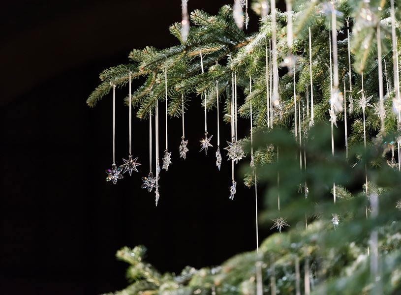 Christmas Market tree in Zurich, Switzerland