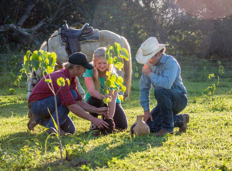Oahu Legacy Forest, Hawaii
