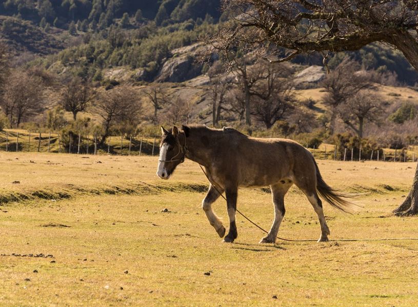 Sightseeing Torres Del Paine, Chile