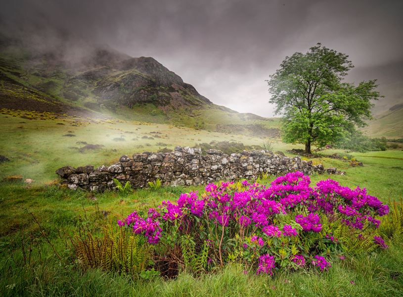 Conservation Range Glencoe, Scotland