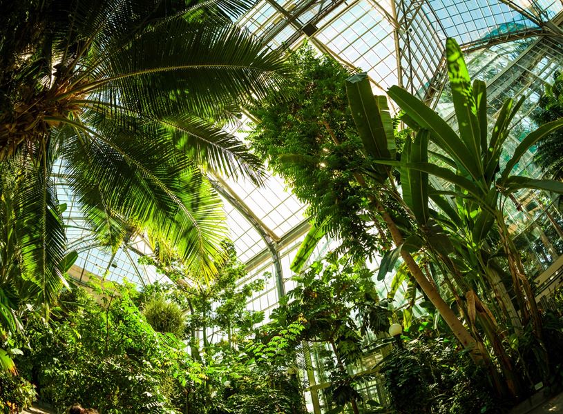 University Botanic Gardens Warsaw, Poland