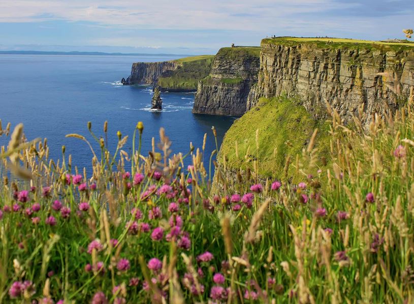 Cliffs of Moher above Atlantic Ocean with wildflowers in foreground