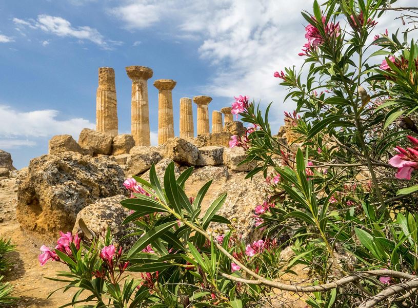 Temple of Hercules ruins with ancient stone columns and pink flowers
