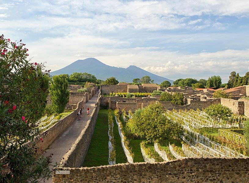 Vineyards and ancient stone walls in Pompeii with Mount Vesuvius in the background