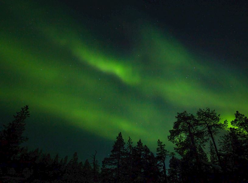 Aurora Borealis in Finnish forest in Saariselka, Finland