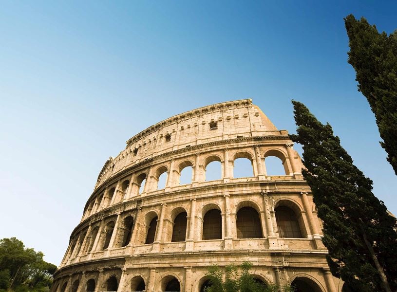 Colosseum in Rome viewed from low angle with tall cypress trees 