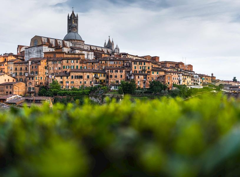 Panoramic view of Siena in Tuscany with historic buildings and Siena Cathedral