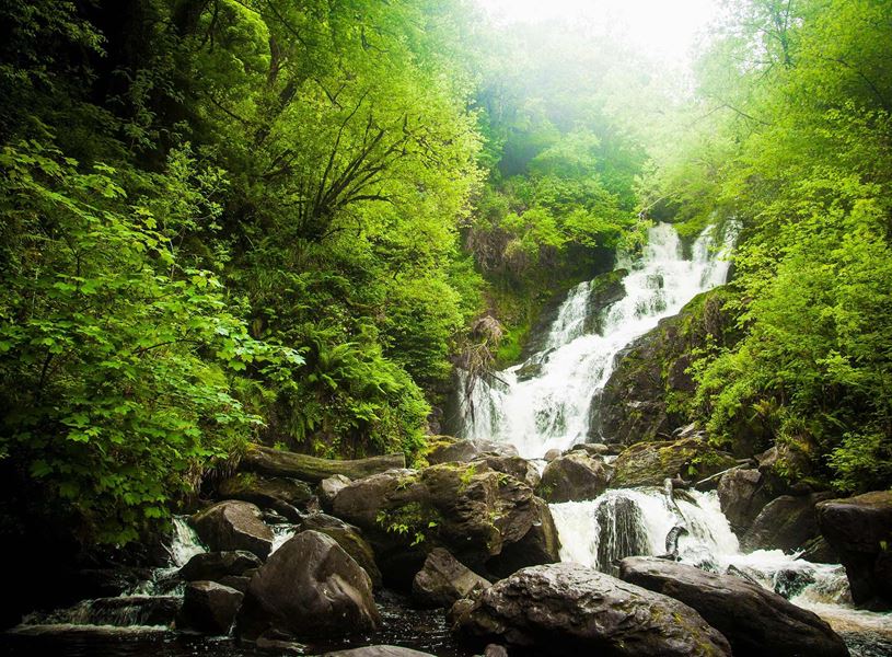 Water cascading over rocks at Torc Waterfall surrounded by dense greenery