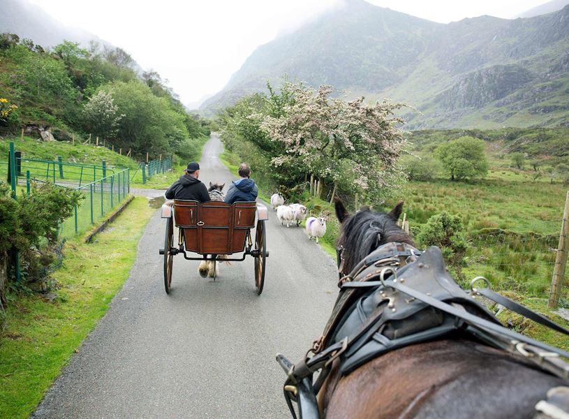 Horse-drawn jaunting car on scenic countryside road with mountains ahead