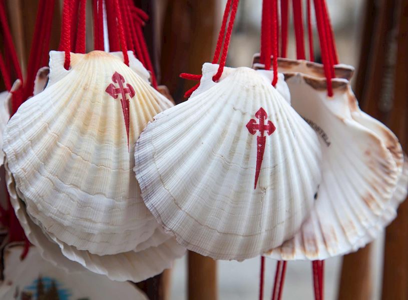 Scallop shells with red Camino de Santiago cross hanging on cords