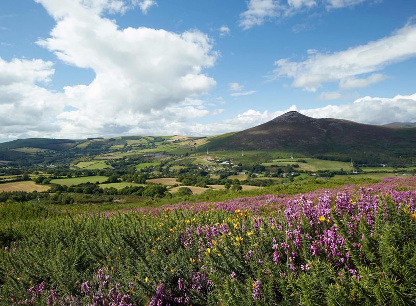 The Sugarloaf Mountain in Co. Wicklow, Ireland