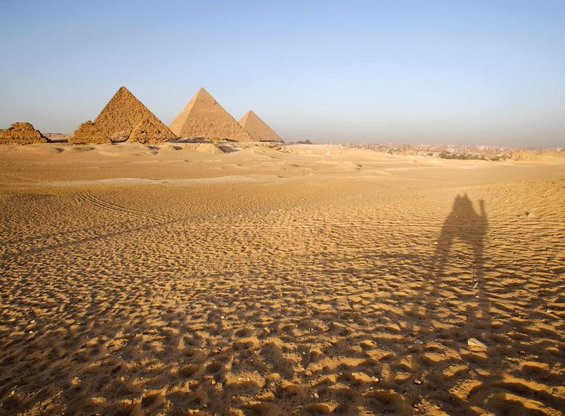 Camel in Desert and Pyramids in Giza, Egypt
