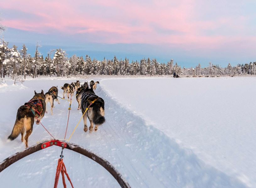 Sled dogs pulling sled through snowy landscape in Saariselka, Sweden