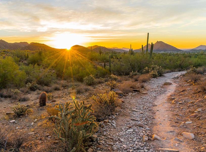 Desert Trail in Scottsdale, USA
