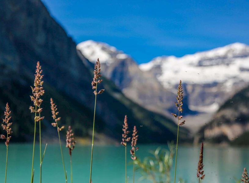 Lake Louise in Banff, Canada