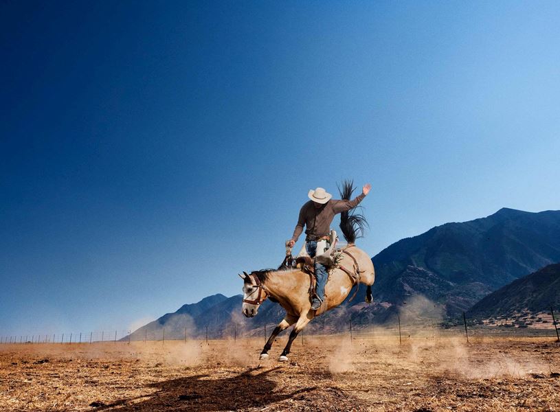 Cowboy riding horse in Cody, USA