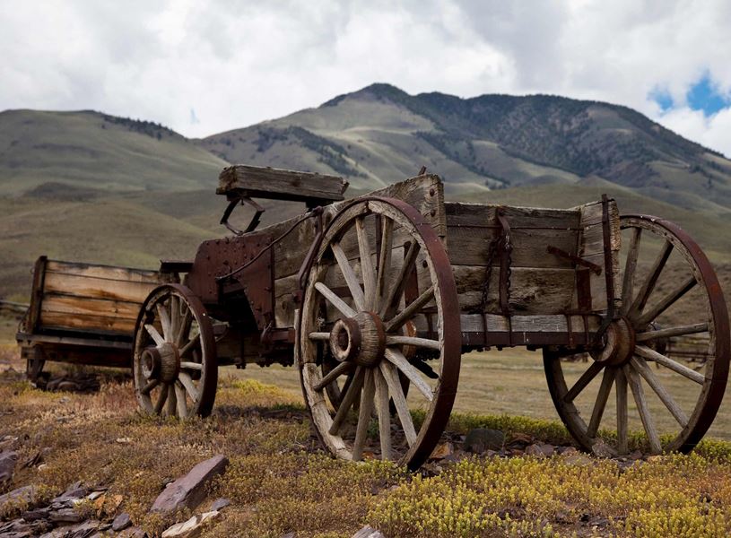 Challis Wagon in Jackson, USA