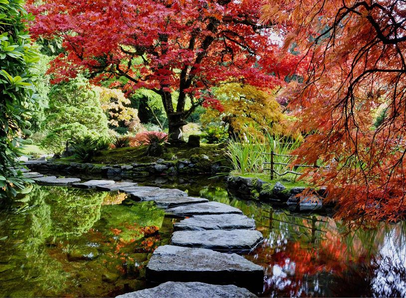 Stepping Stones on Lake in Victoria, Canada