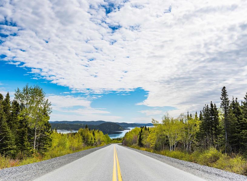 Road with a View of Gander, Canada