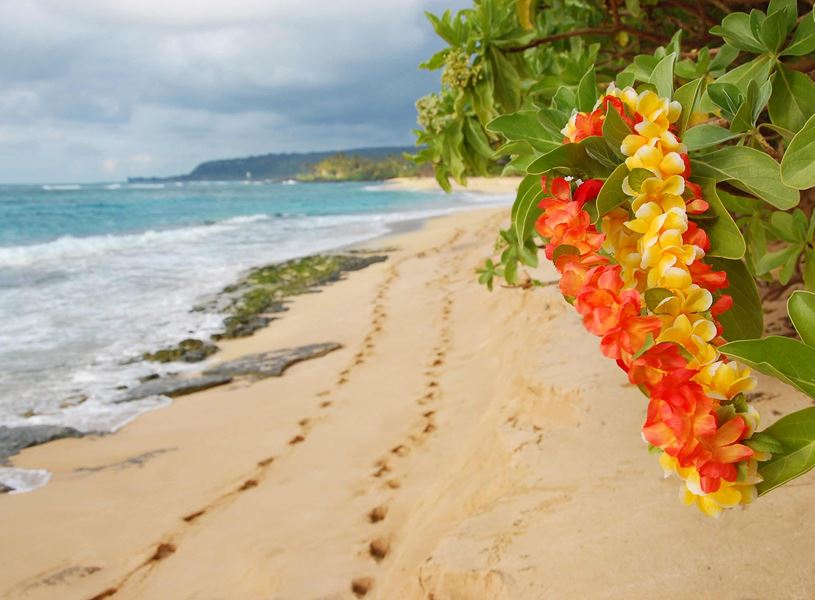 Oahu Beach in Honolulu, Hawaii
