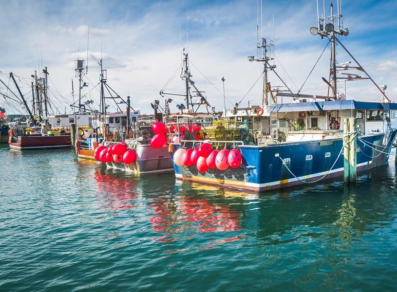 Boats in Cape Cod, USA