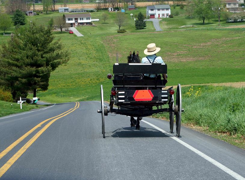 Man on horse and cart in Lancaster County, USA