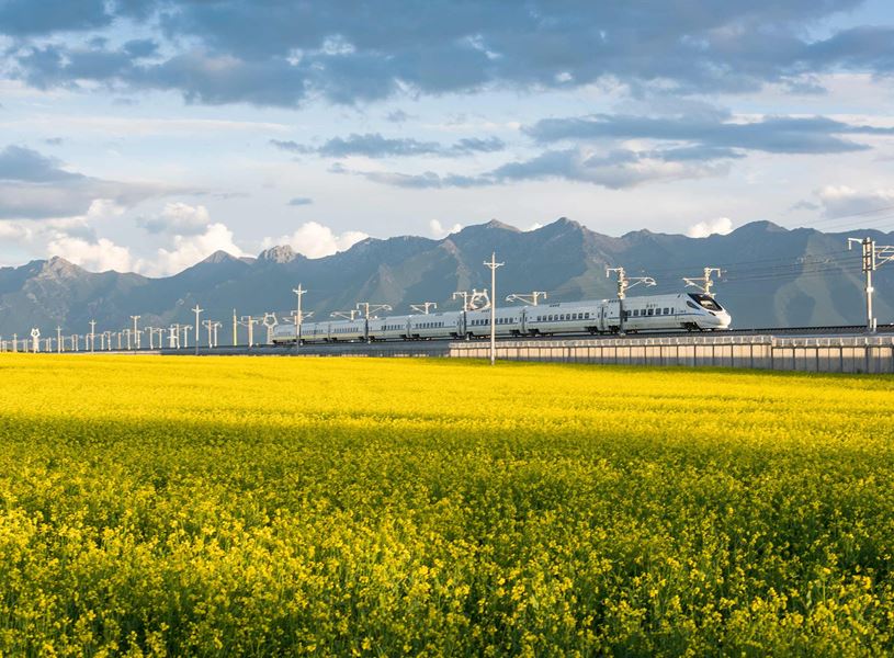 High speed train passing yellow flower fields and mountains, China