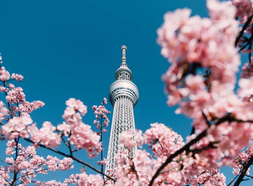 Sky Tree in Tokyo, Japan