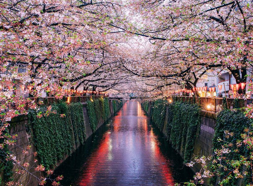 Meguro River in Tokyo, Japan