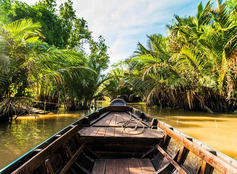 Boat on Mekong Delta, Vietnam