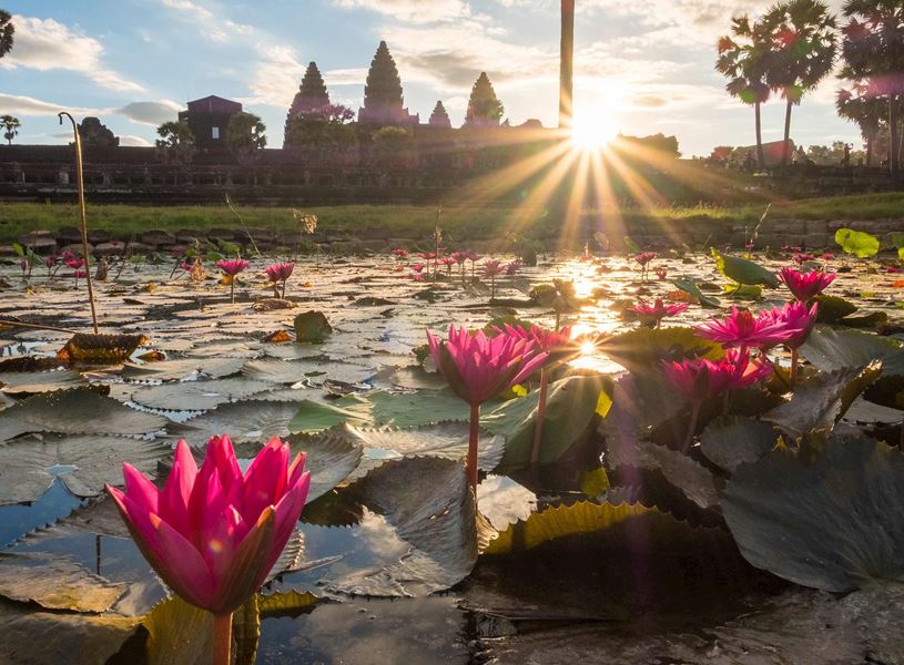 Sunrise over Angkor Wat reflected in lotus pond, Siem Reap, Cambodia