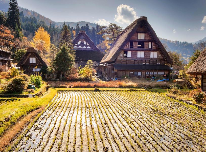 Ogimachi Village in Takayama, Tokyo